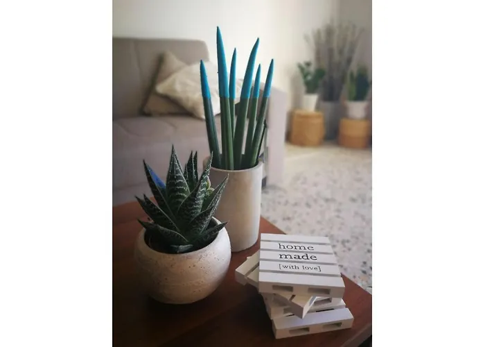 Kikilia's & Stelio's Apartament Adamantas (Milos)