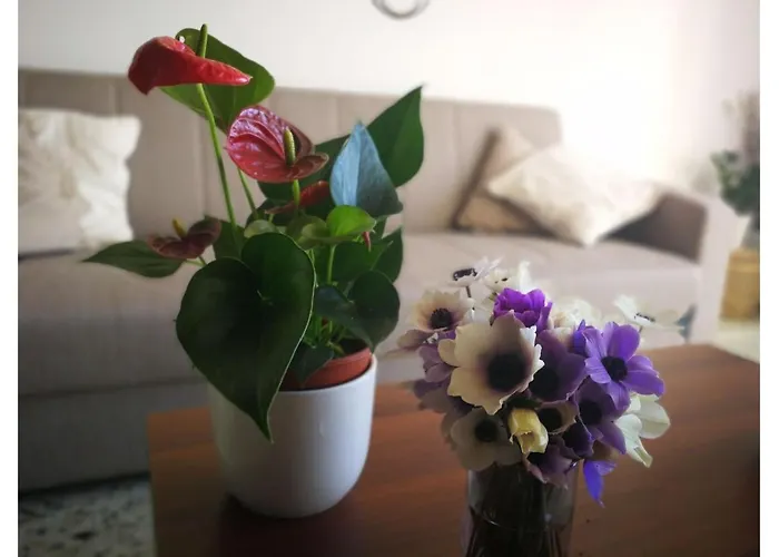 Kikilia's & Stelio's * Adámasz